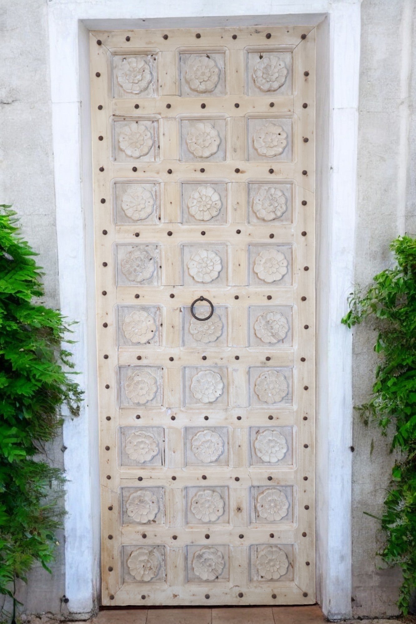 Indian Carved Barn door