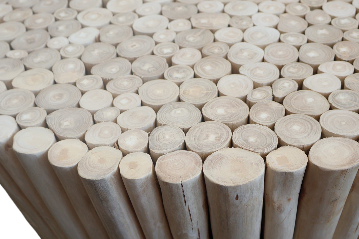 Jupitor Natural Branches Coffee Table