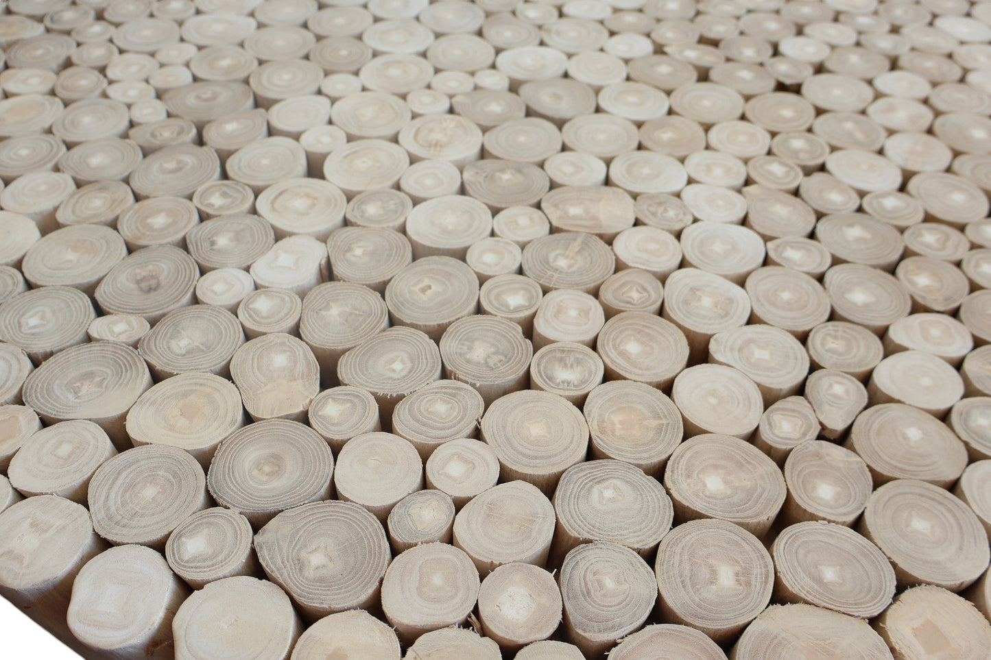 Jupitor Natural Branches Coffee Table