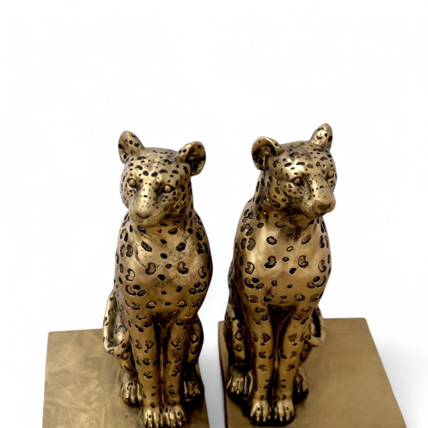 Leopard Bookend