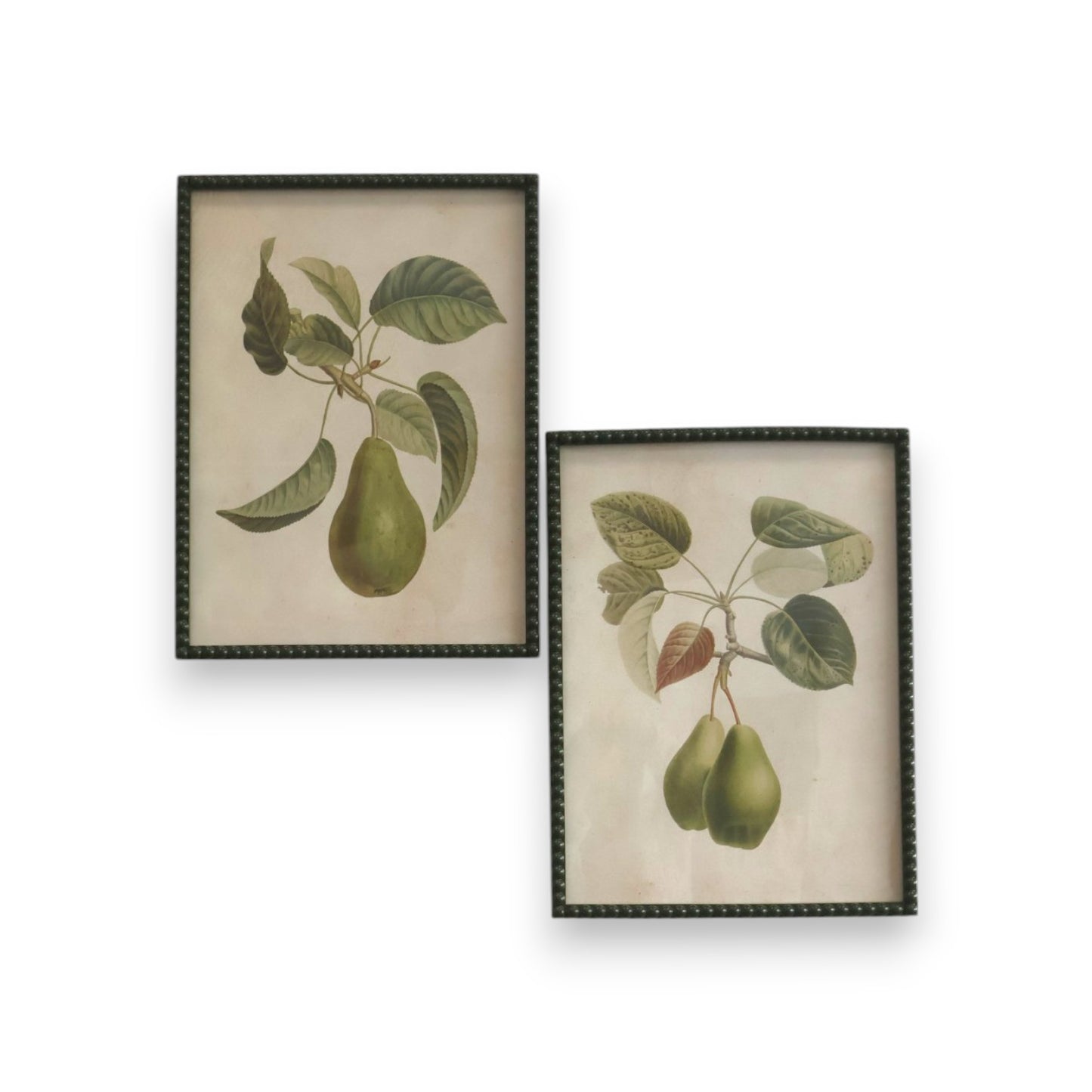 Pyrus Print Glass Rattan Frame - Set of 2