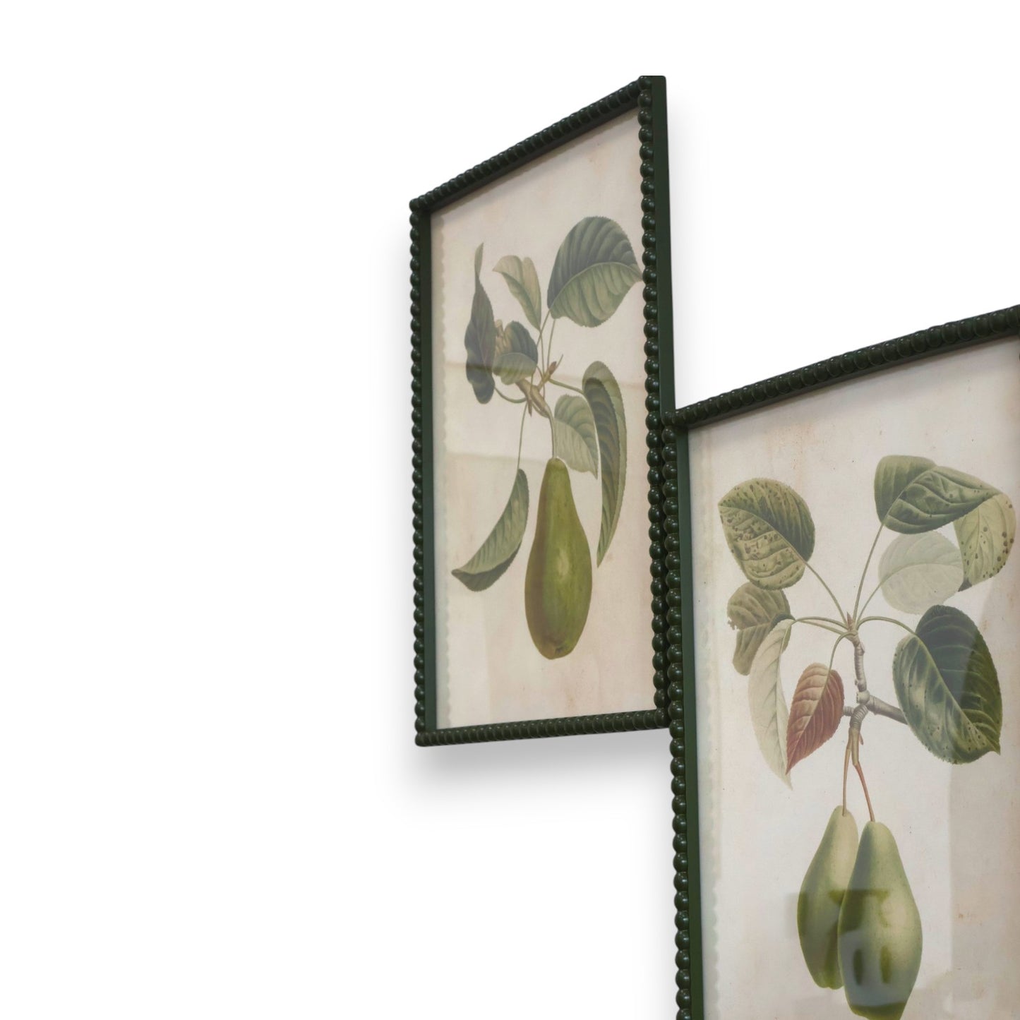 Pyrus Print Glass Rattan Frame - Set of 2