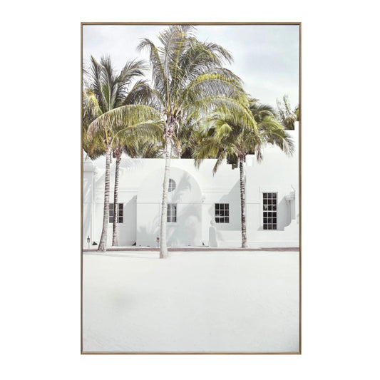 Casa De Palm B Framed Canvas