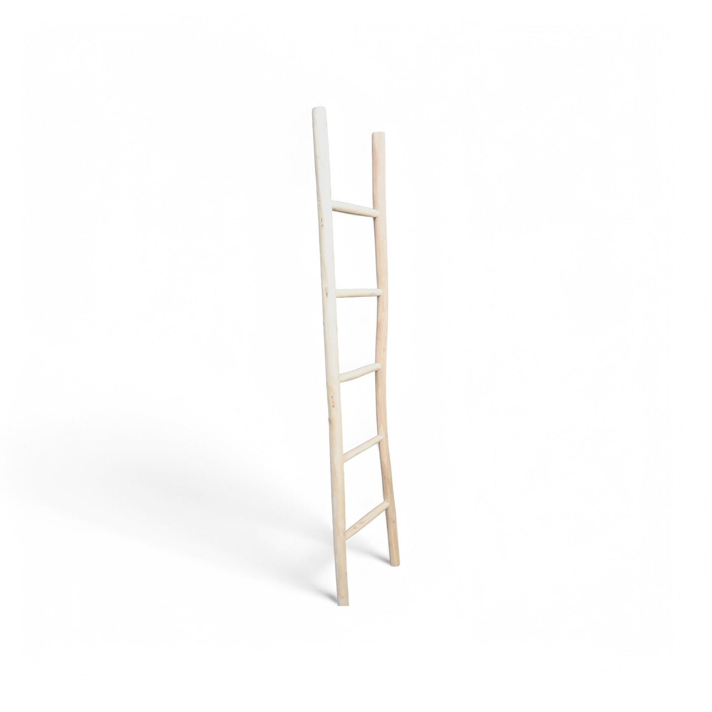 Pax Teak Ladder