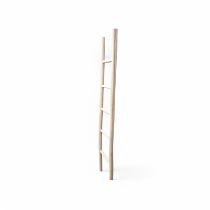 Pax Teak Ladder