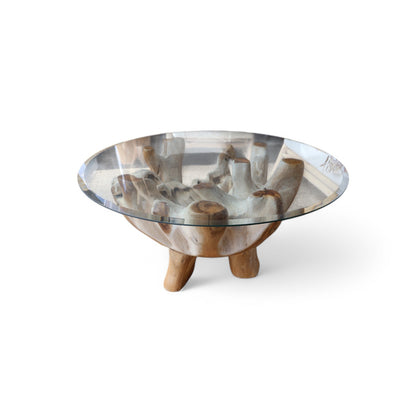 Princess Teak Root Coffee Table