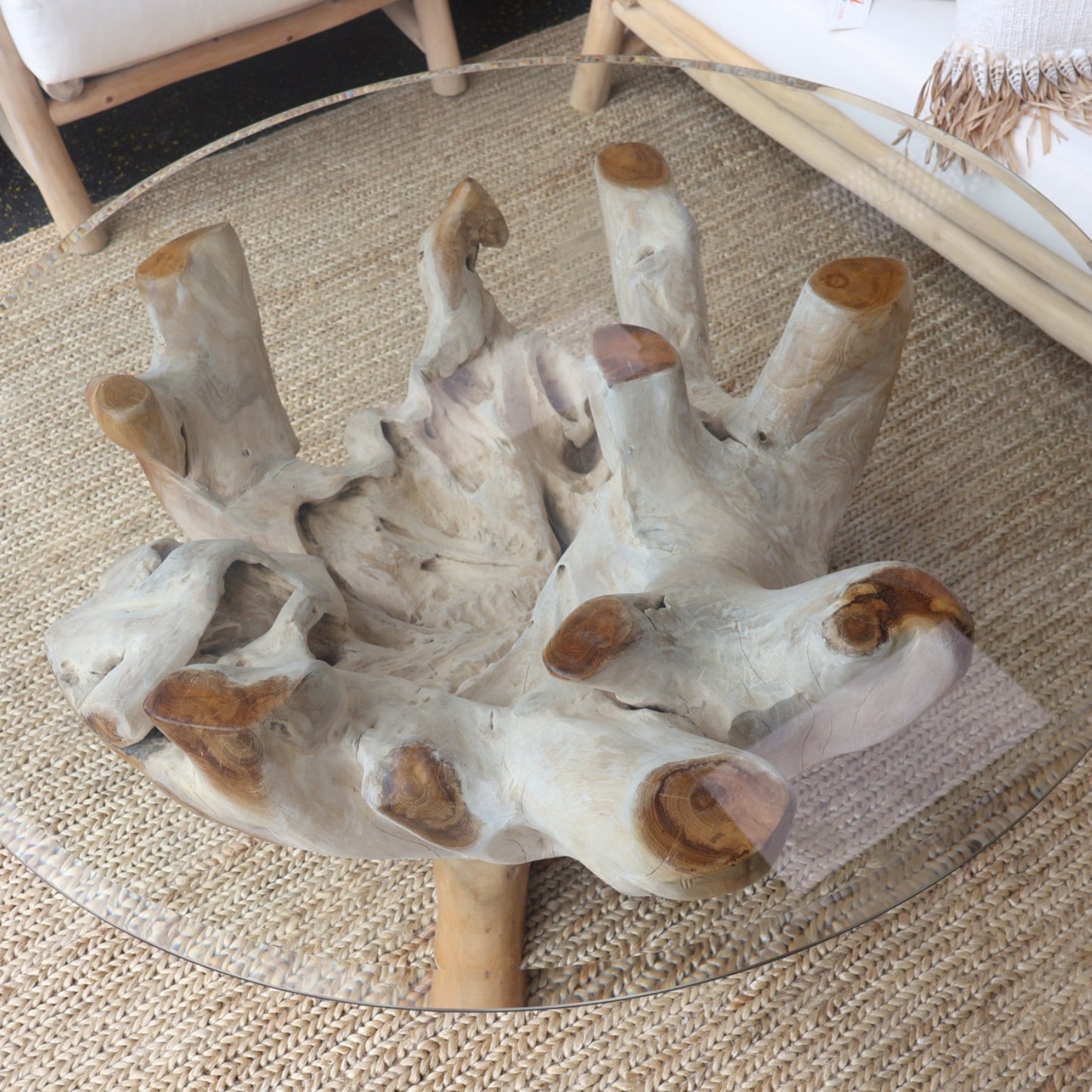 Princess Teak Root Coffee Table