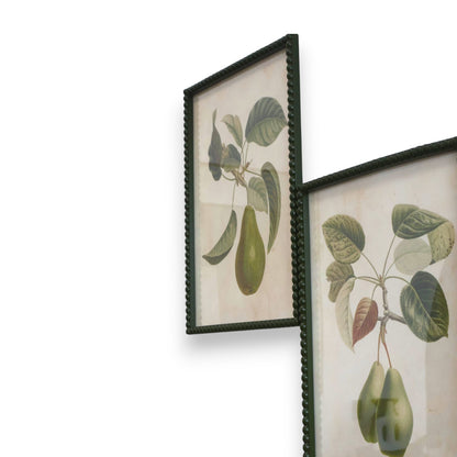Pyrus Print Glass Rattan Frame - Set of 2