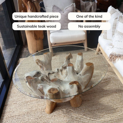 Princess Teak Root Coffee Table
